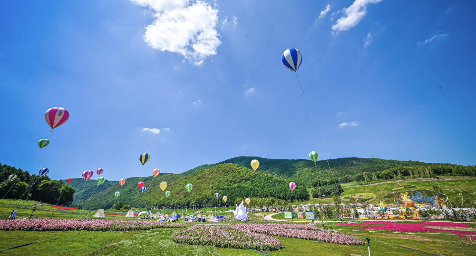 中共中央办公厅 国务院办公厅印发《乡村建设行动实施方案》