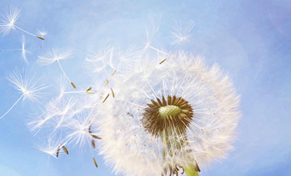 建立投资集团的社会责任管理体系，推进社会责任管理工作制度化、常态化。